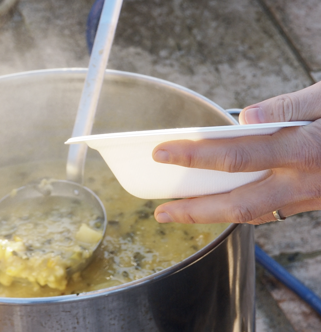 zuppa con verdura dell'orto